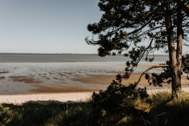 Insel Mando, Elsberg und die Sächsische Schweiz