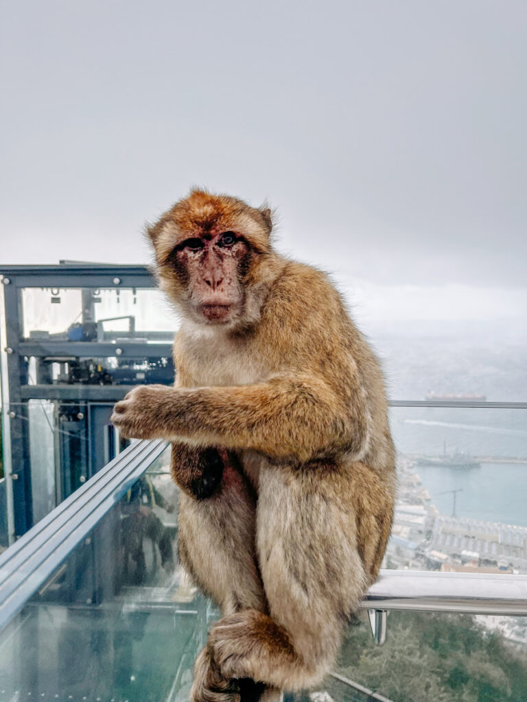 Gibraltar