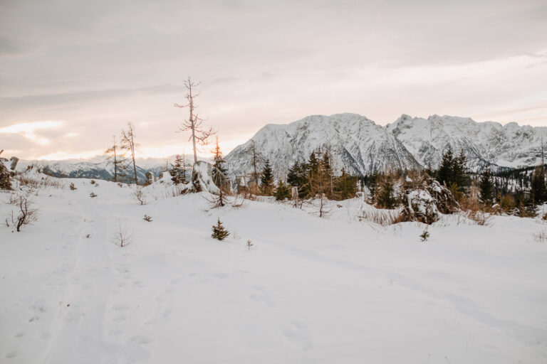 Tauplitzalm
