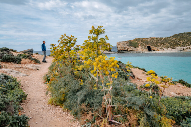 Comino