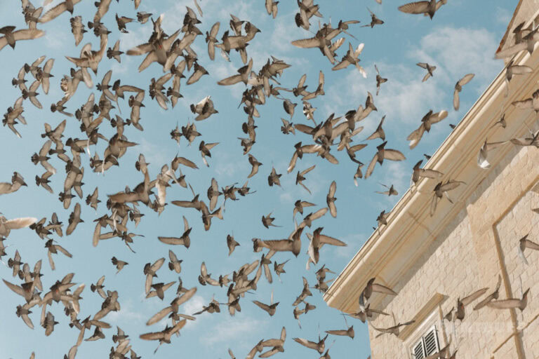 Tag 6 – Dubrovnik & weiter nach Molunat