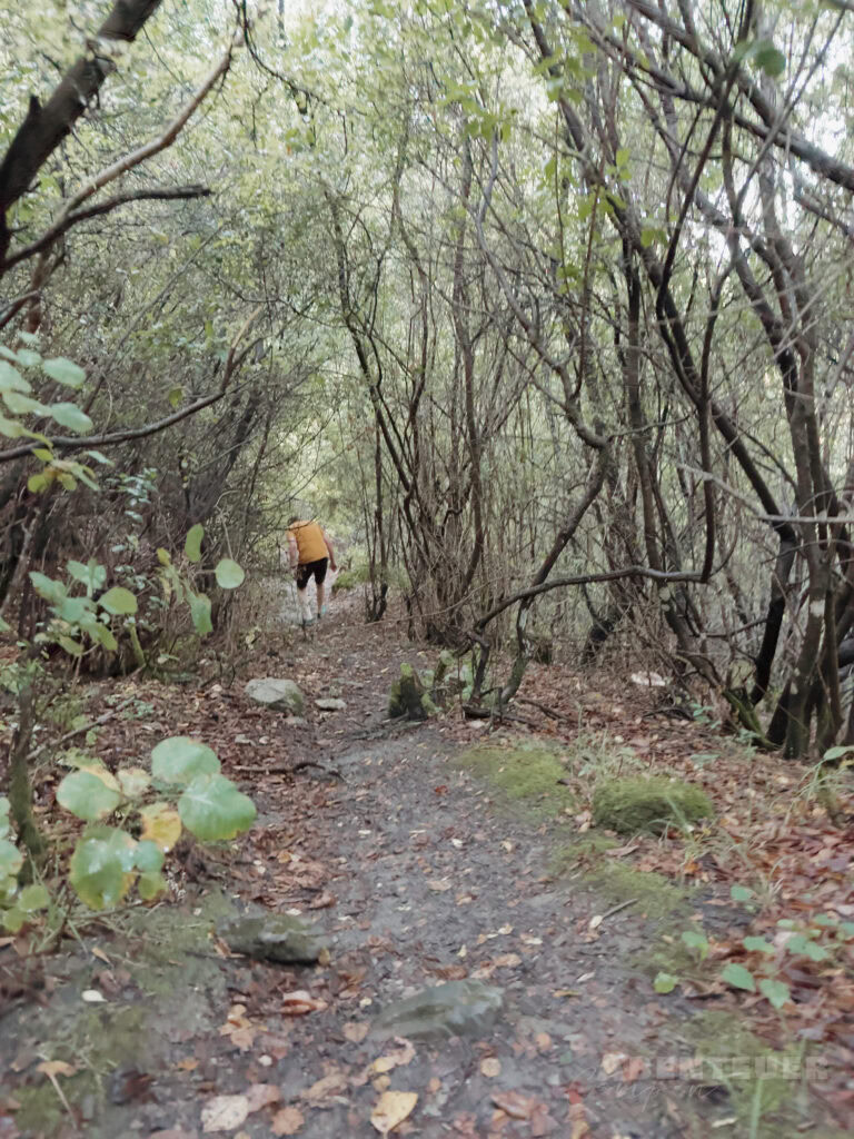 Abenteuercampen, Naturpfad, heiße Quellen, Wald, Outdoor-Abenteuer.