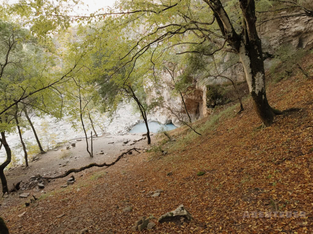 Natürliche heiße Quellen im Wald, ideal für Abenteuercampen und Entspannung.