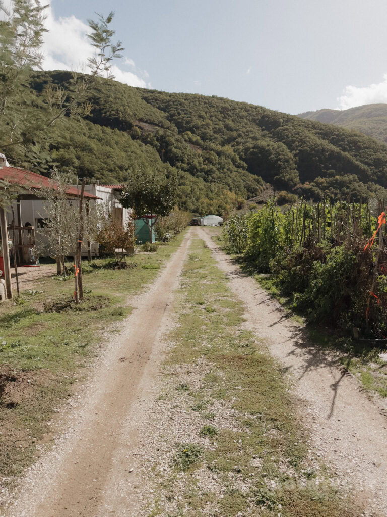 Wanderweg im Abenteuercampen mit Blick auf die umliegenden Berge und Natur.
