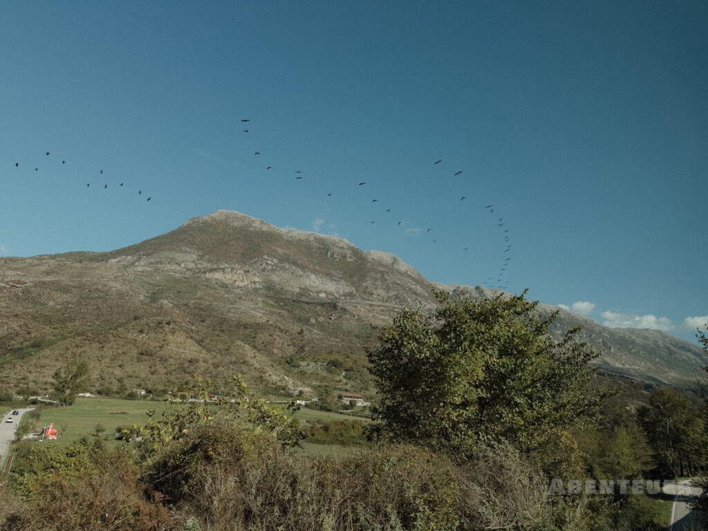 Naturaufnahme mit Berg, Bäumen und Himmel bei heißen Quellen in Österreich.